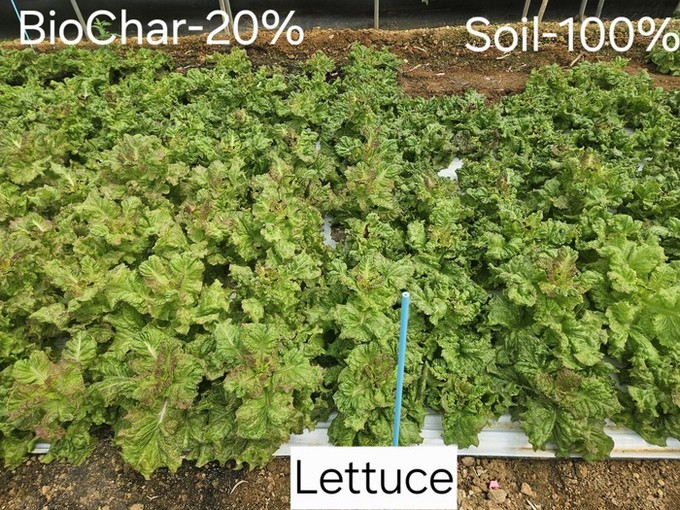 이피에스리소스, 하수슬러지 바이오차의 토지개량 및 안전성 동시 확인